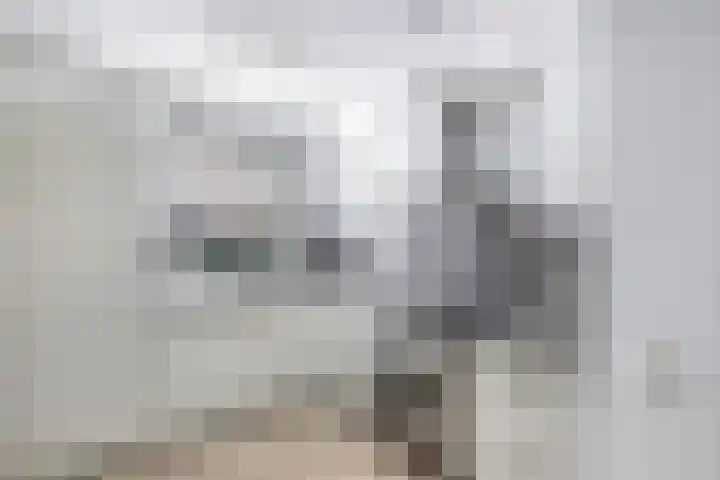 Topaas 45 Drachten thumbnail 14