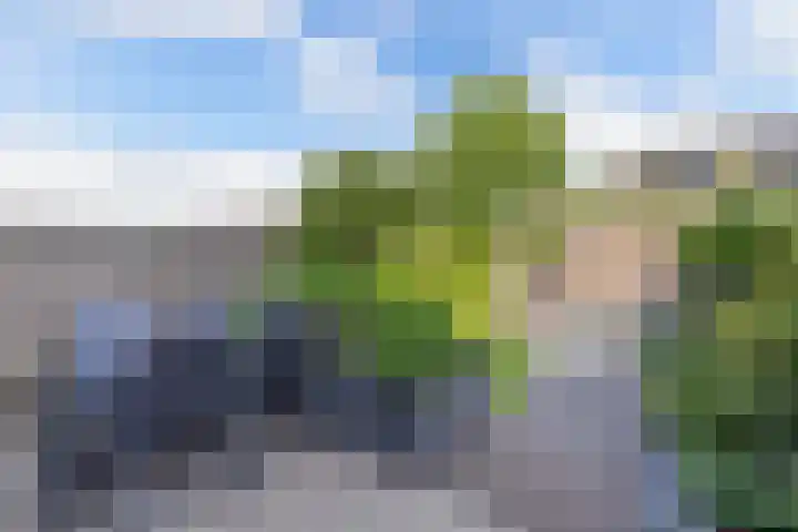 Topaas 45 Drachten thumbnail 17