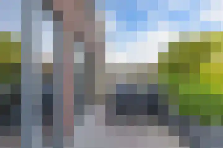 Topaas 45 Drachten thumbnail 20