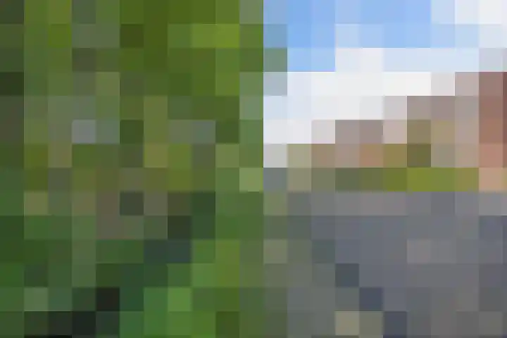 Topaas 45 Drachten thumbnail 30