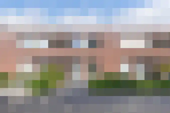 Topaas 45 Drachten thumbnail 34