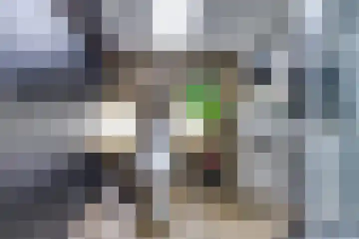 Topaaslaan 25 Rhoon thumbnail 29