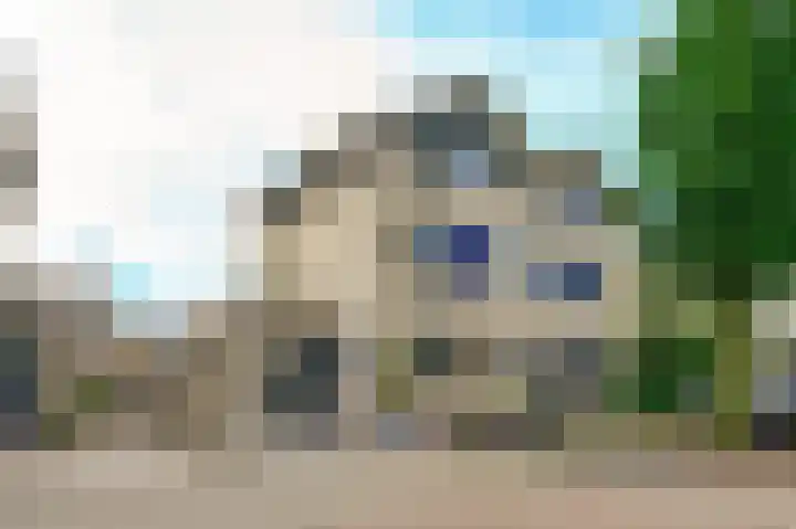 Topaaslaan 25 Rhoon foto 3