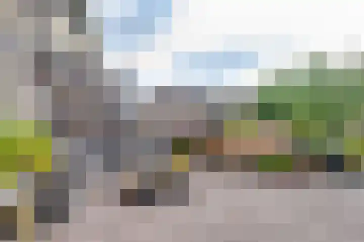 Topaaslaan 25 Rhoon thumbnail 32