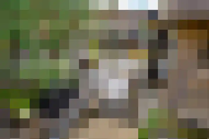 Topaaslaan 25 Rhoon thumbnail 35