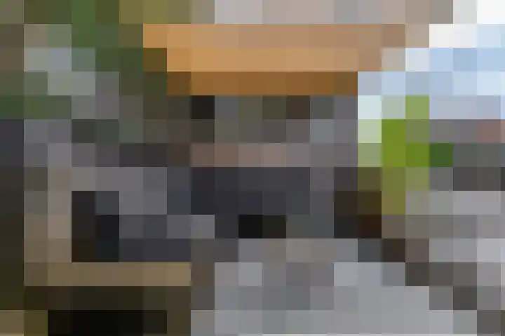 Topaaslaan 25 Rhoon thumbnail 36