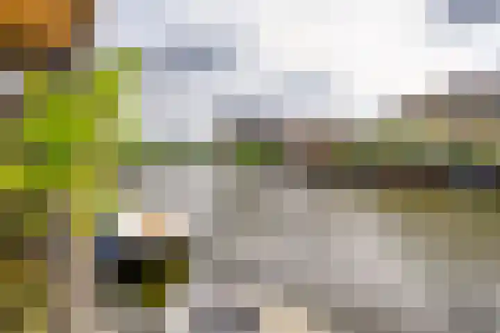 Topaaslaan 25 Rhoon thumbnail 41