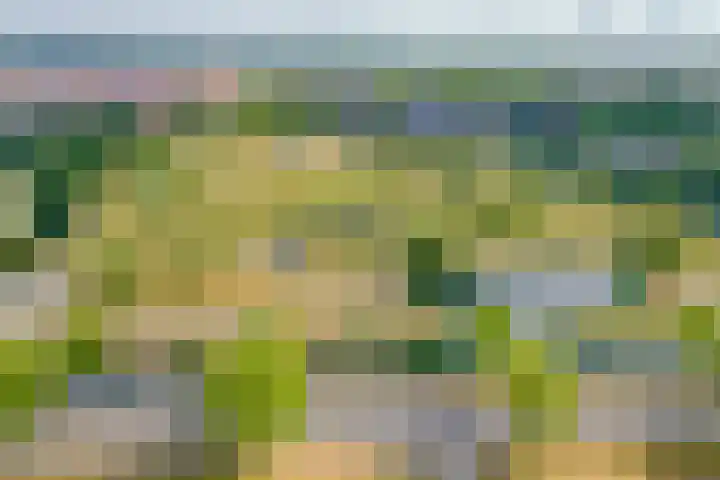 Topaaslaan 25 Rhoon thumbnail 43