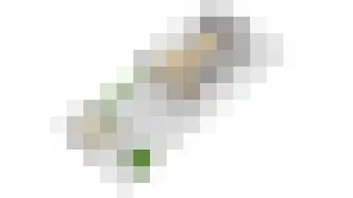 Topaaslaan 25 Rhoon thumbnail 45