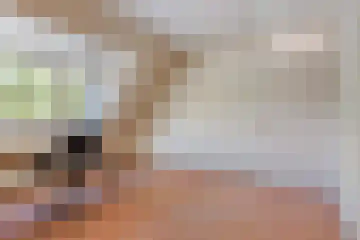 Topaasring 2 Eindhoven thumbnail 26