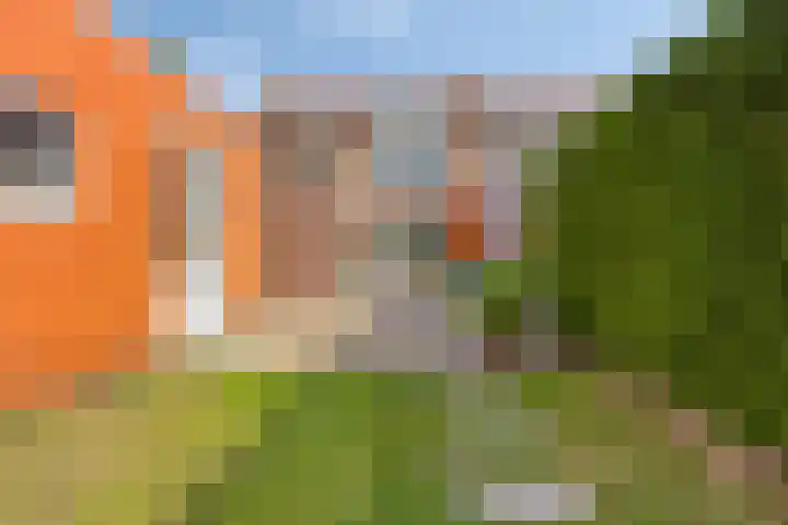 Torendreef 15 Bladel