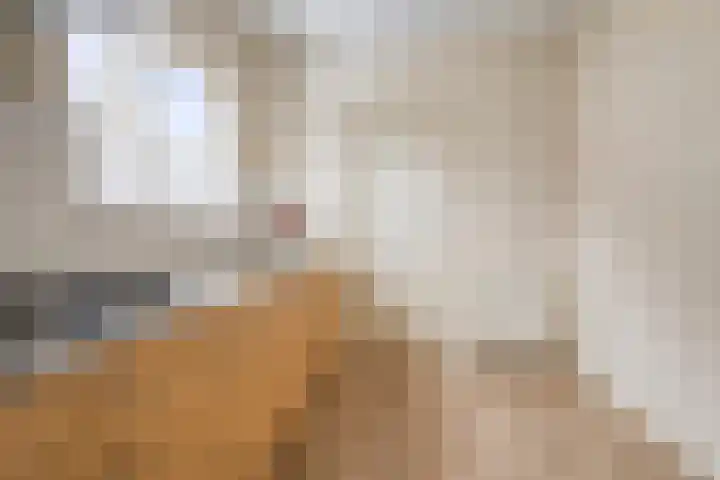 Torenes 10 Borger thumbnail 10