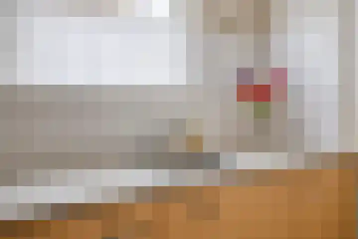 Torenes 10 Borger thumbnail 11
