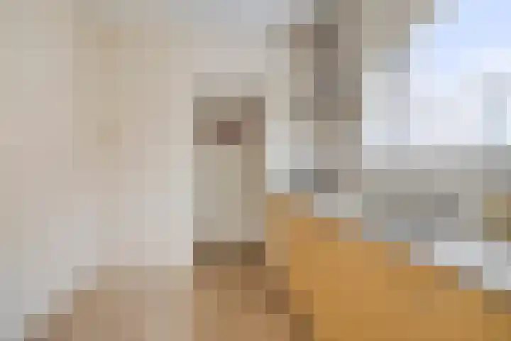 Torenes 10 Borger thumbnail 12