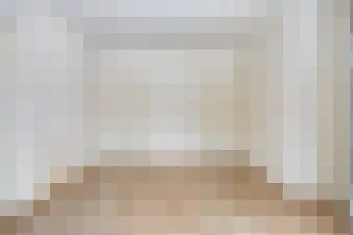 Torenes 10 Borger thumbnail 15