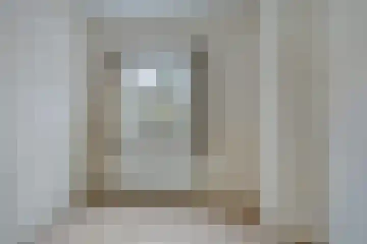 Torenes 10 Borger thumbnail 20