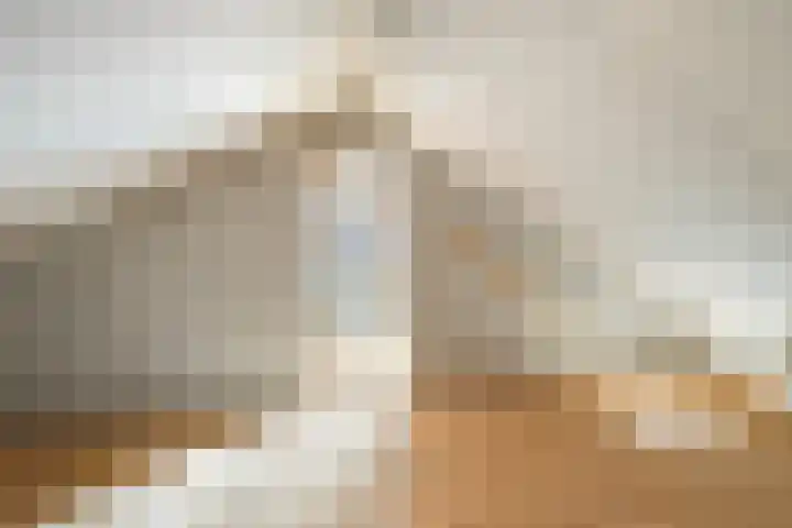Torenes 10 Borger thumbnail 25