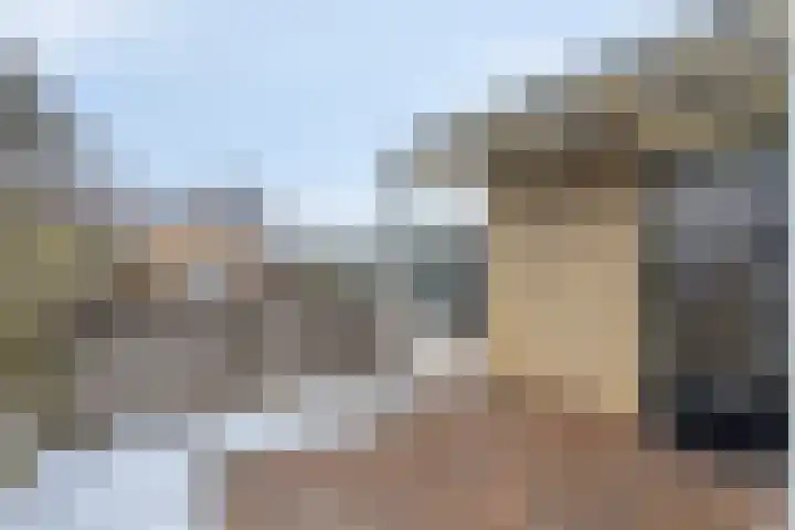 Torenes 10 Borger thumbnail 27