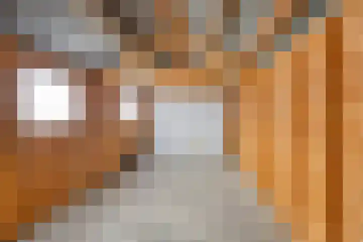Torenes 10 Borger thumbnail 29