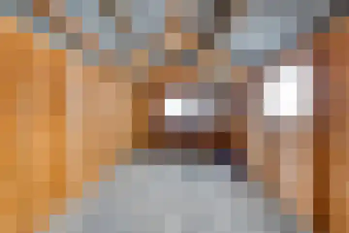 Torenes 10 Borger thumbnail 30