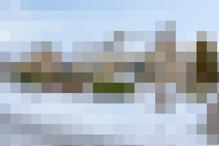 Torenes 10 Borger thumbnail 31