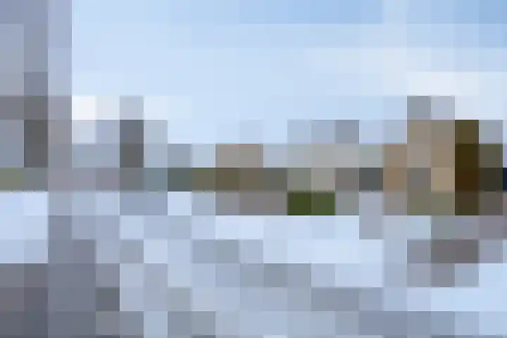 Torenes 10 Borger thumbnail 32
