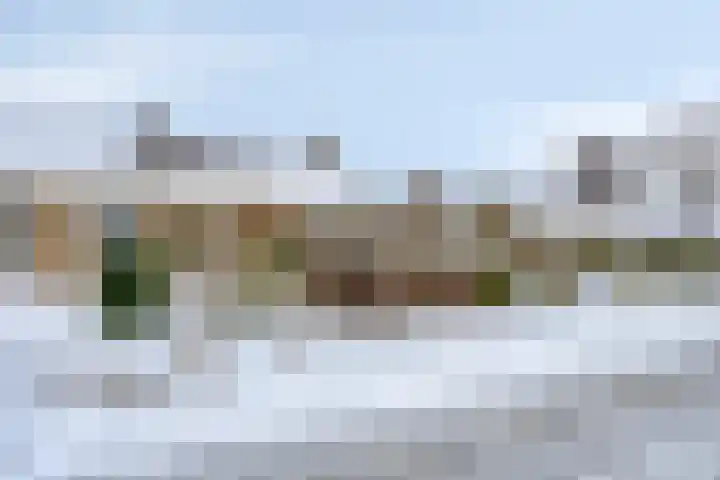 Torenes 10 Borger thumbnail 33