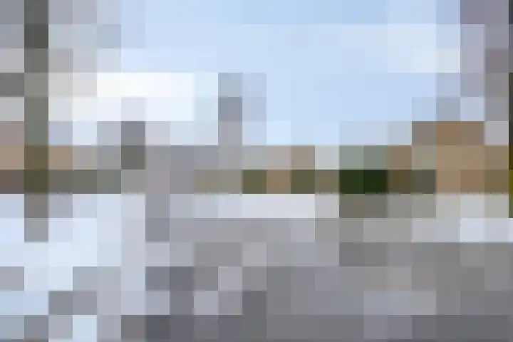 Torenes 10 Borger thumbnail 35