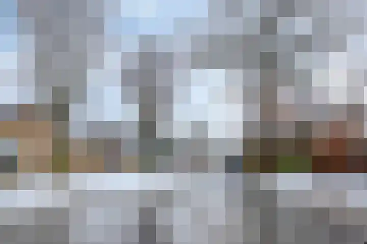 Torenes 10 Borger thumbnail 36