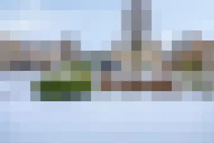 Torenes 10 Borger thumbnail 37