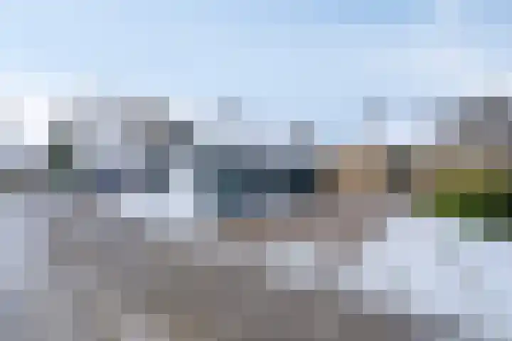 Torenes 10 Borger thumbnail 4