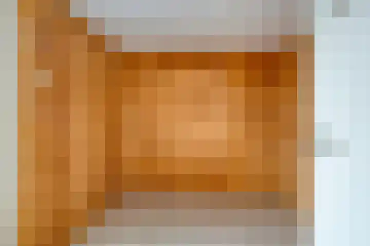 Torenes 10 Borger thumbnail 8