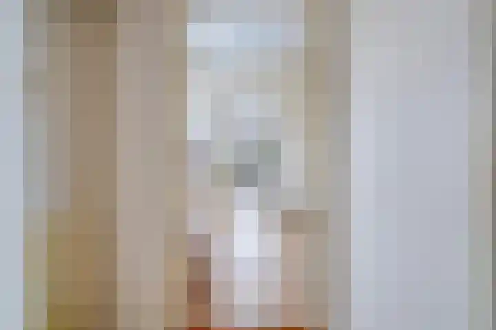 Torenes 10 Borger thumbnail 9