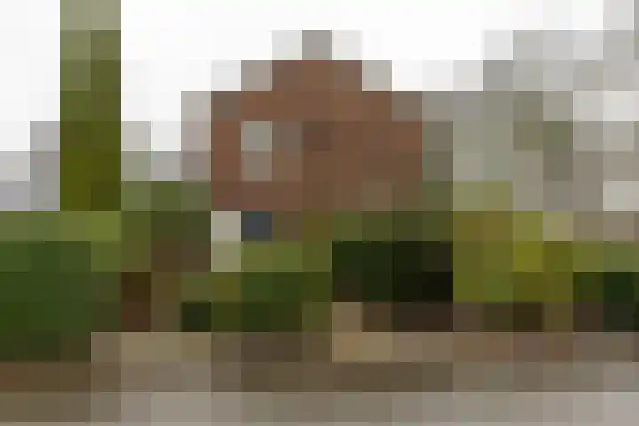 Torenes 15 Borger thumbnail 10