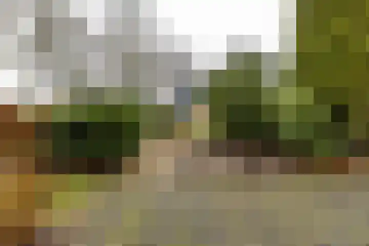 Torenes 15 Borger thumbnail 11