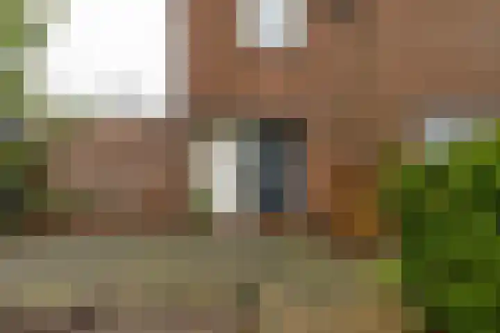 Torenes 15 Borger thumbnail 12