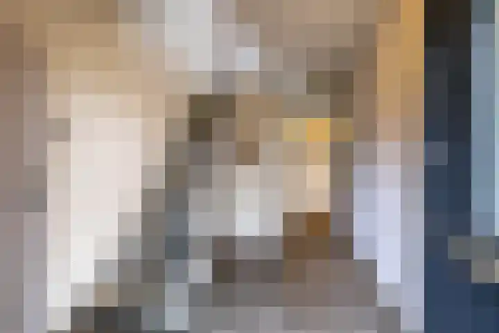 Torenes 15 Borger thumbnail 13