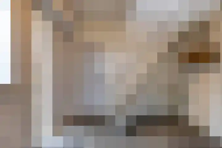 Torenes 15 Borger thumbnail 14