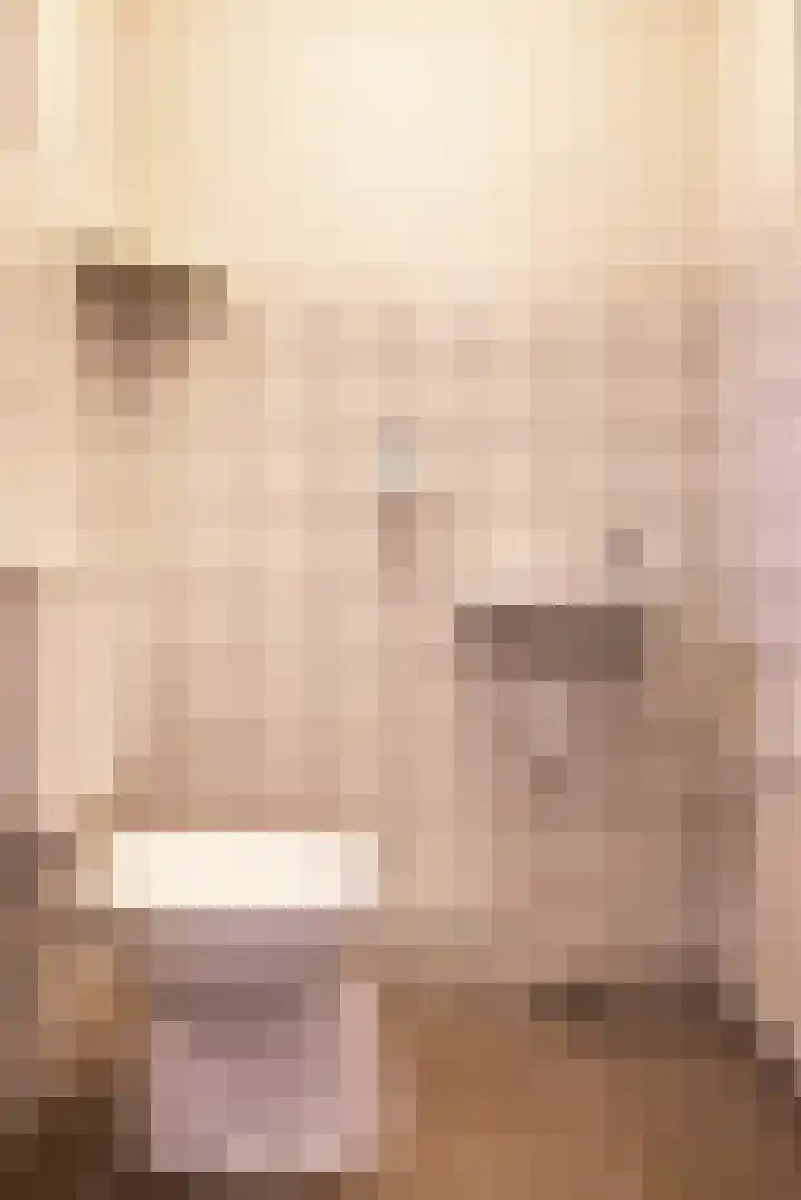 Torenes 15 Borger thumbnail 15