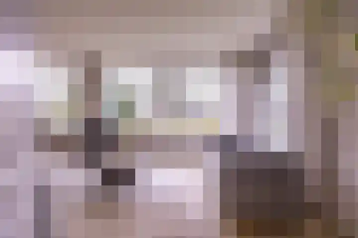 Torenes 15 Borger thumbnail 16