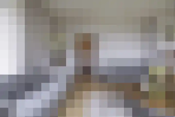 Torenes 15 Borger thumbnail 17