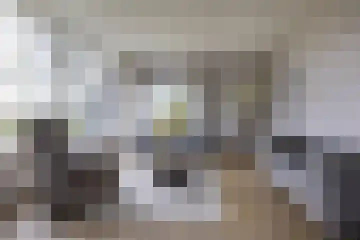 Torenes 15 Borger thumbnail 18