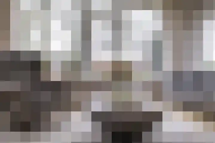 Torenes 15 Borger thumbnail 19