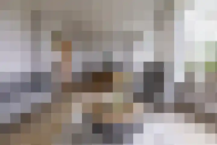 Torenes 15 Borger thumbnail 20