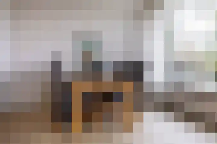 Torenes 15 Borger thumbnail 21