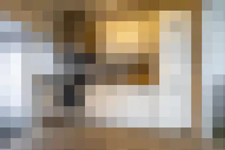 Torenes 15 Borger thumbnail 24