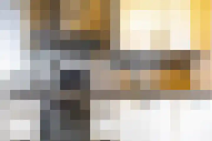 Torenes 15 Borger thumbnail 25