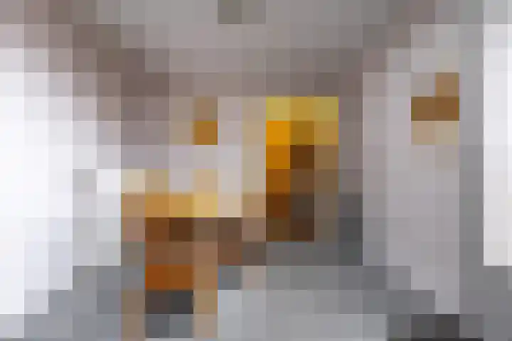 Torenes 15 Borger thumbnail 29