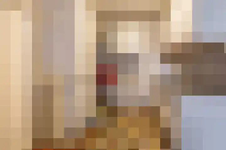 Torenes 15 Borger thumbnail 30