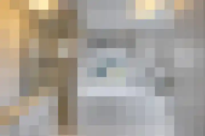 Torenes 15 Borger thumbnail 33